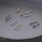 male studs